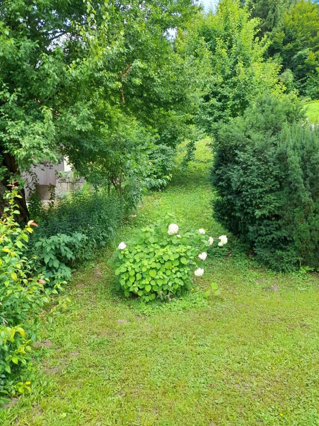 Gogo Appartement Delnice Buitenkant foto