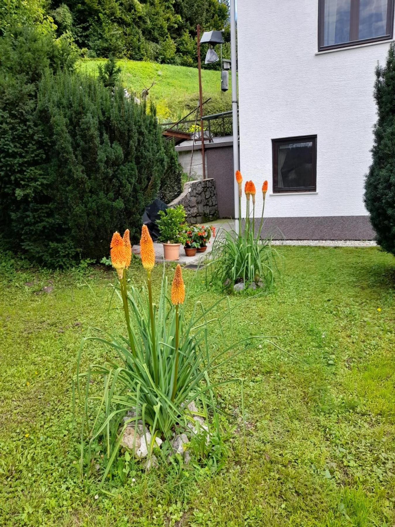 Gogo Appartement Delnice Buitenkant foto